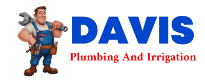 Trusted plumber in CHINA VILLAGE